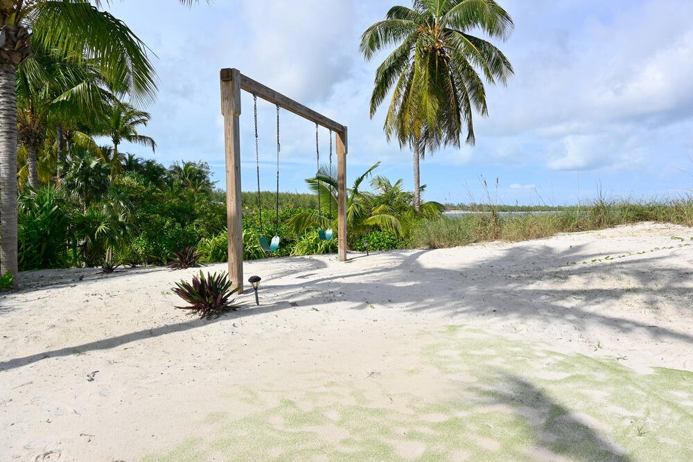 Beach swing under palm trees
