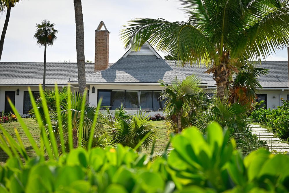 Hightide through the tropical garden