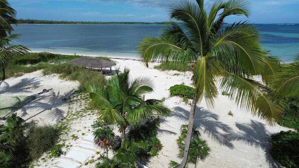 Aerial view of private beach and palms