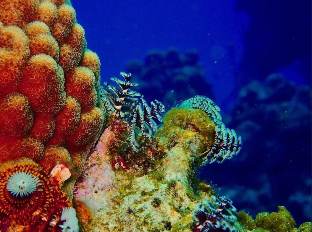 screenshot 2025 11 12 232158