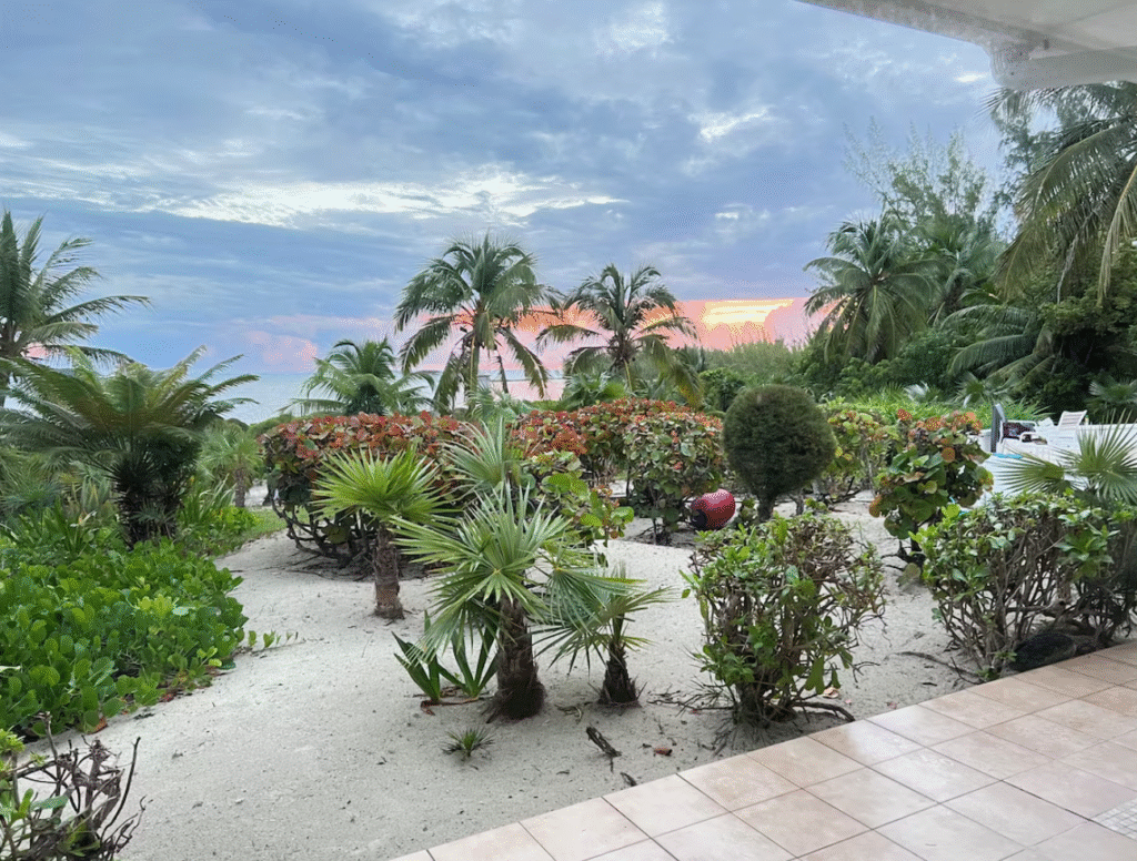 screenshot 2025 11 12 232529