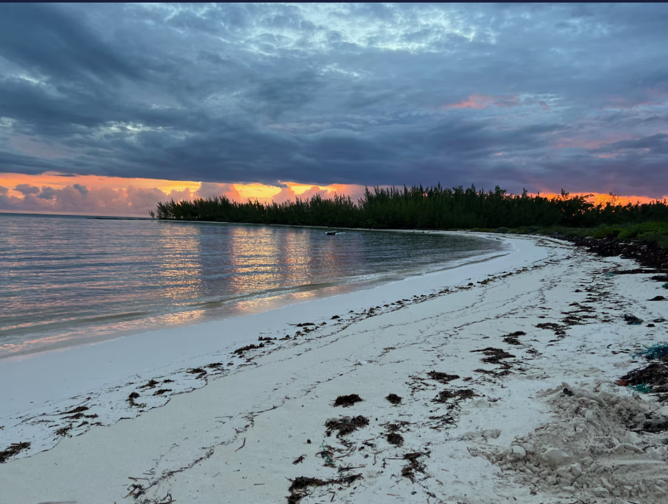 screenshot 2025 11 12 232617