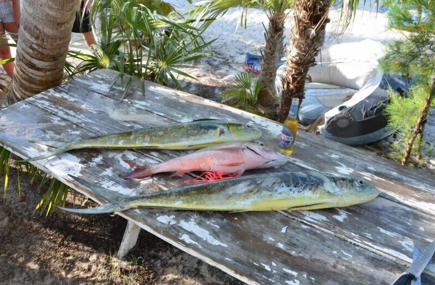 screenshot 2025 11 12 232736