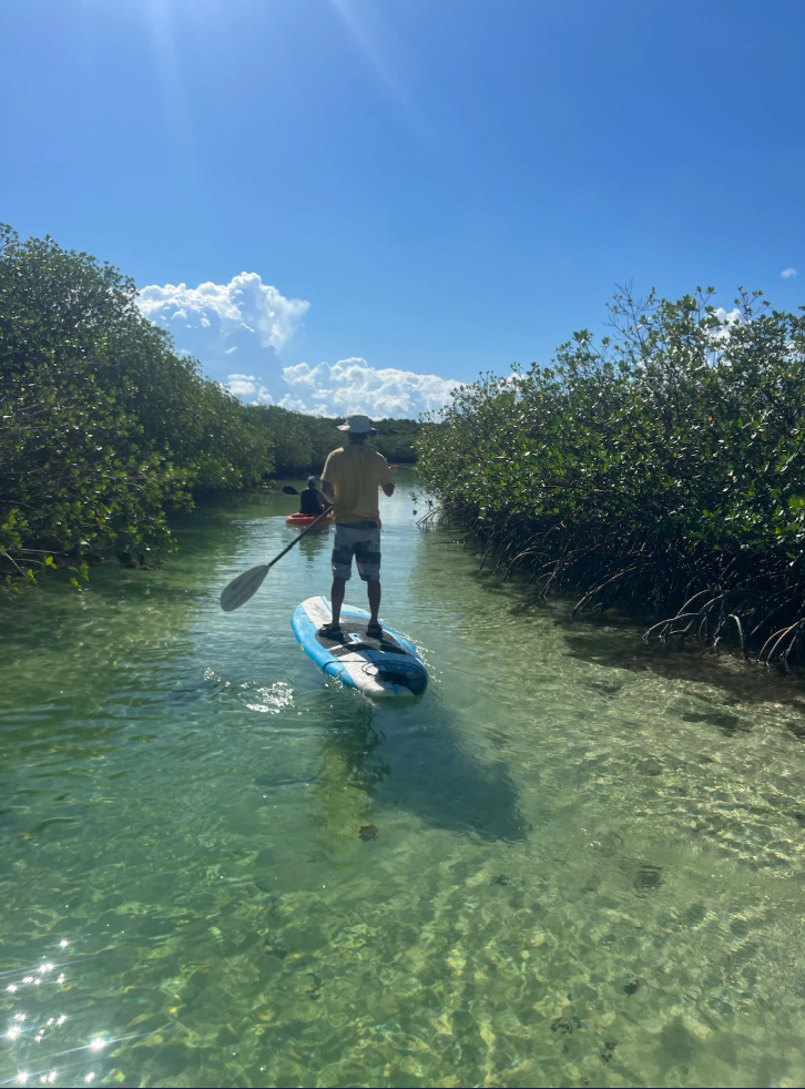 screenshot 2025 11 12 232928