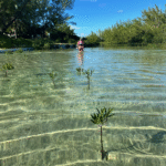 screenshot 2025 11 12 233020