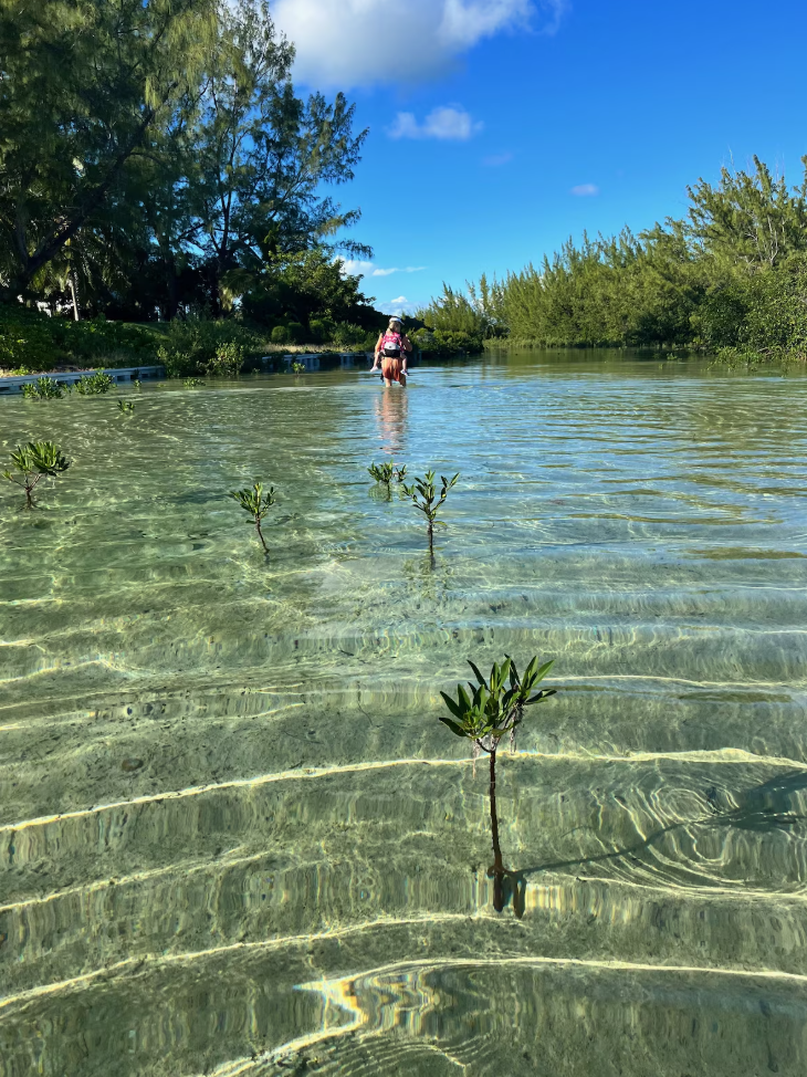 screenshot 2025 11 12 233020