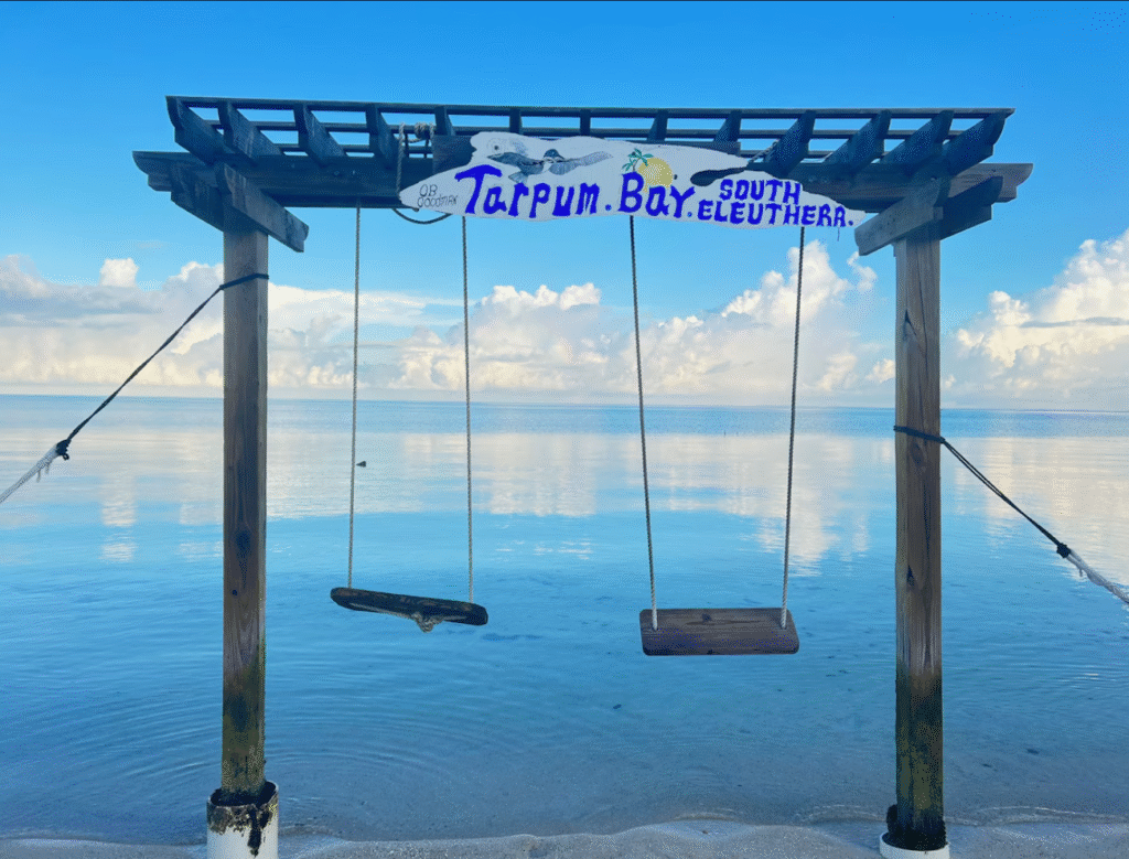 screenshot 2025 11 12 233234