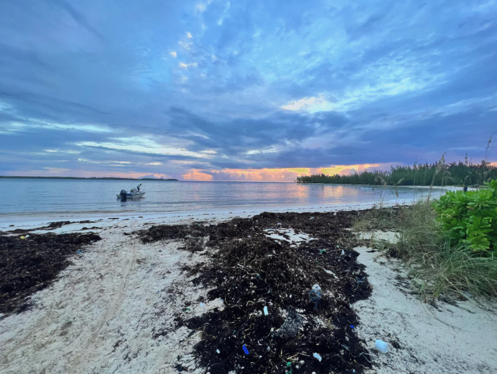 screenshot 2025 11 12 233255