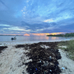 screenshot 2025 11 12 233255