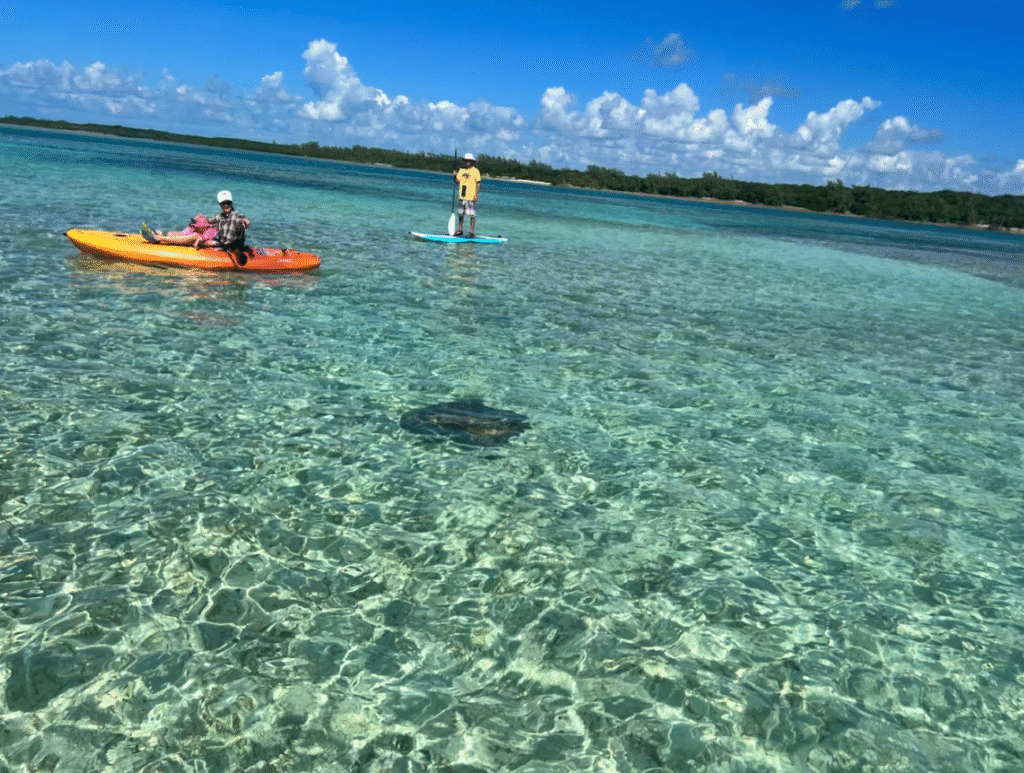 screenshot 2025 11 12 233536