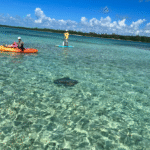 screenshot 2025 11 12 233536