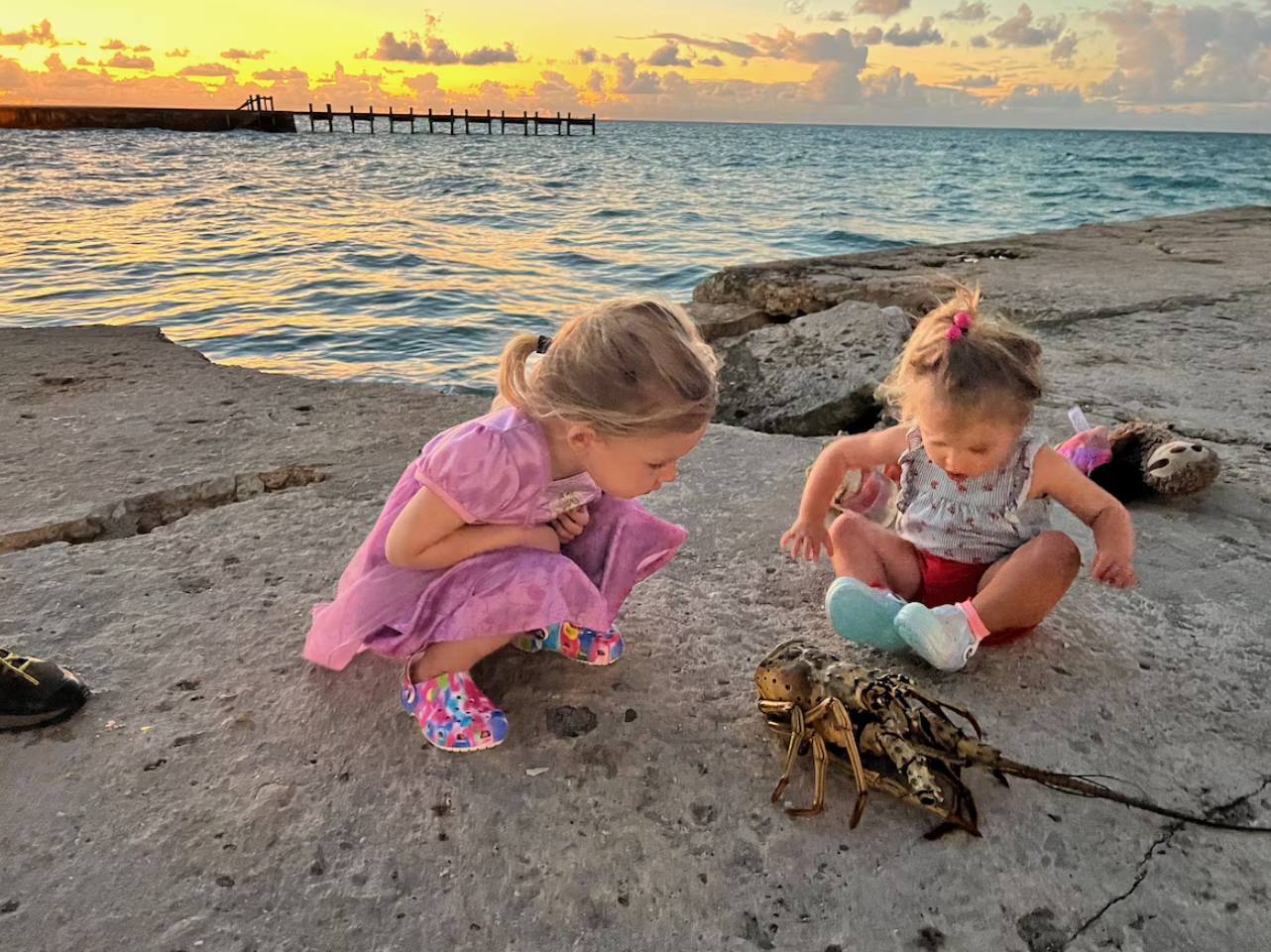 screenshot 2025 11 12 233602